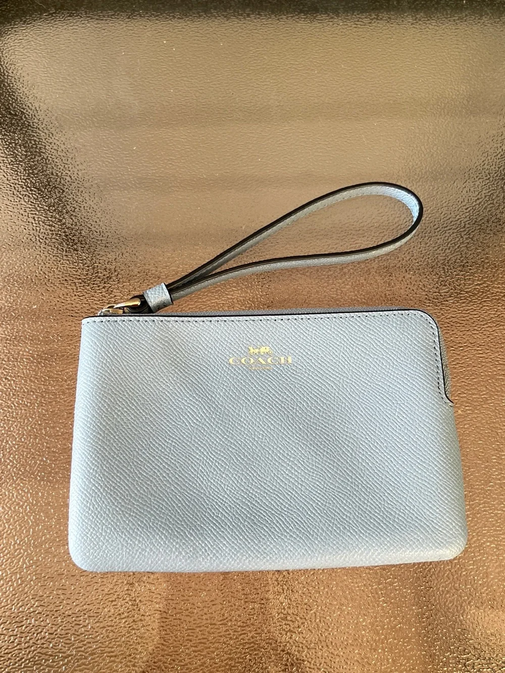 Coach Corner Zip Wristlet Pouch in Light Blue